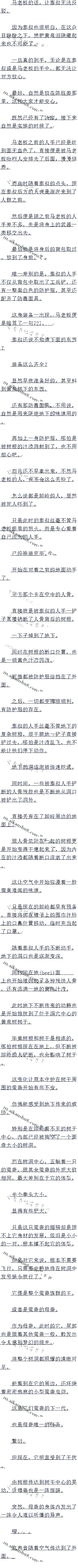 593 װȫĵ
