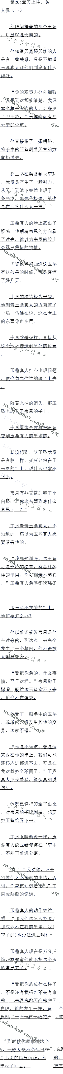 204 壨£