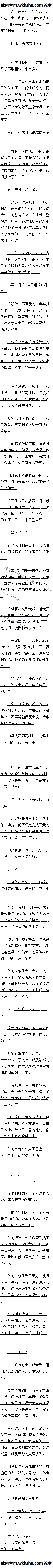 262 ̹أ