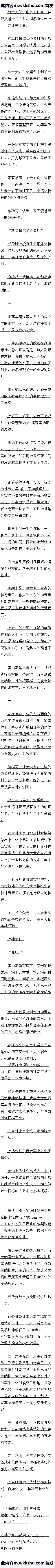 һʮ ˹ļܴ䡾
