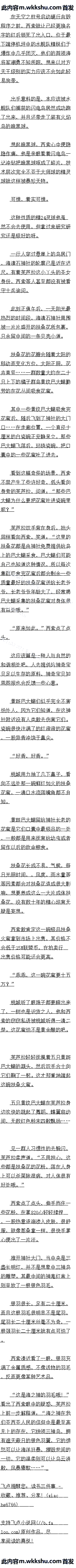 İٶʮһ ɫ֮𡾶Զ