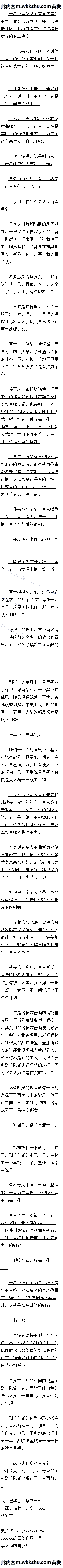 ʮ ŷ٤̬Զ