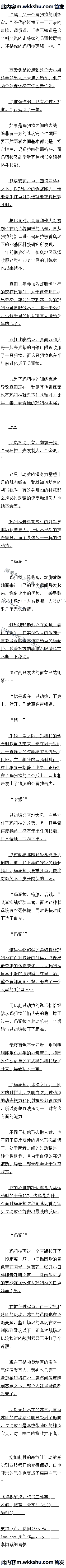 ʮ ᰵԶ